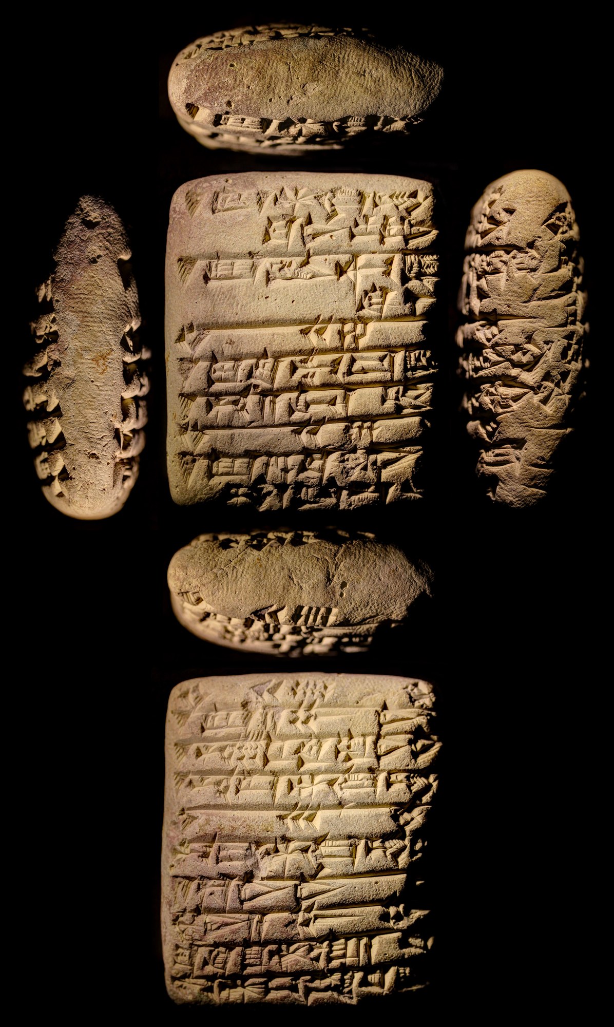 Clay tablet from Puzriš-Dagan recording animal deliveries for the cult of the deified Šulgi in Amar-Suen’s first year