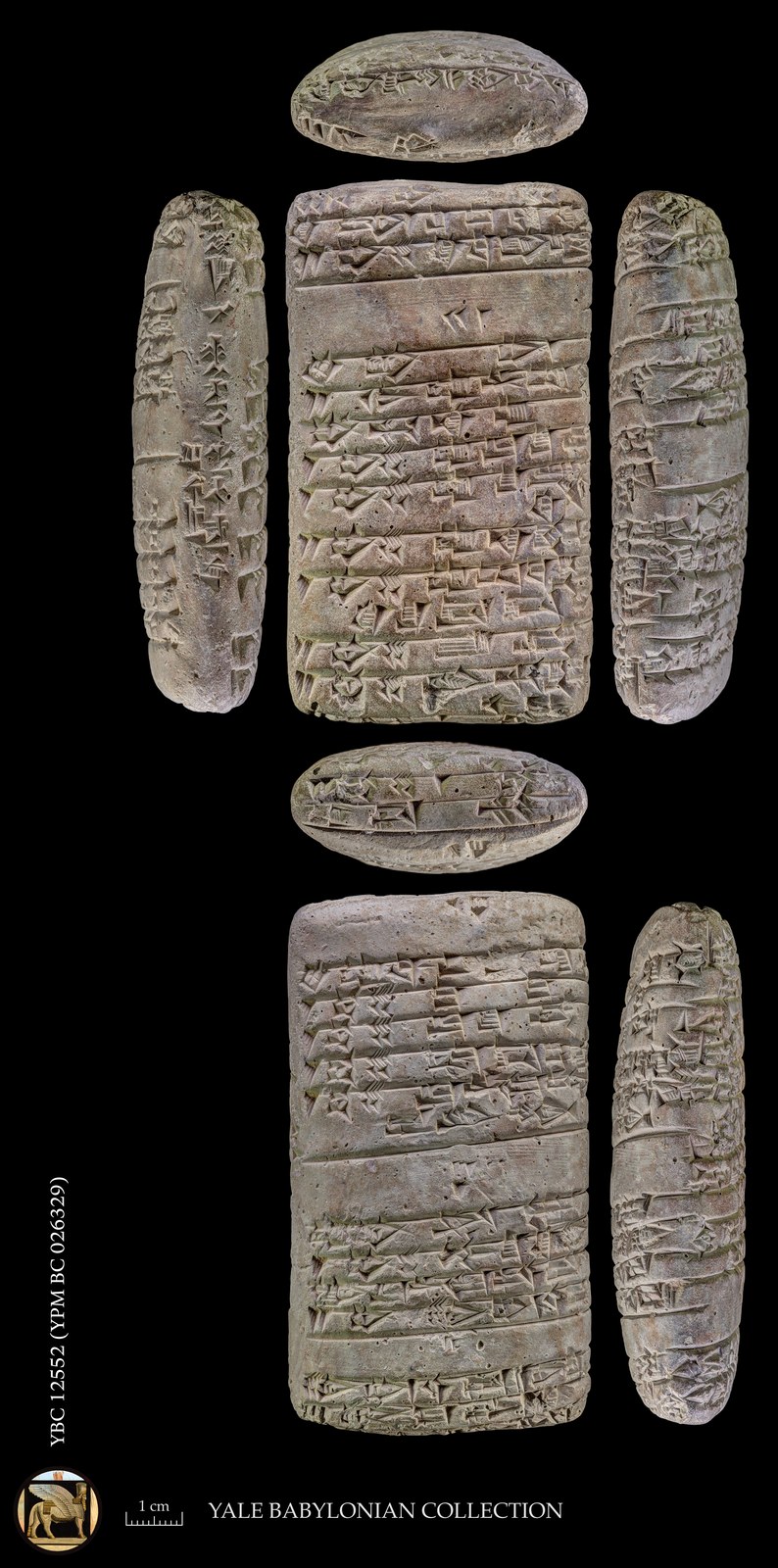 Clay tablet from Puzriš-Dagan recording fattened oxen, including one sealed by Šu-Suen the judge