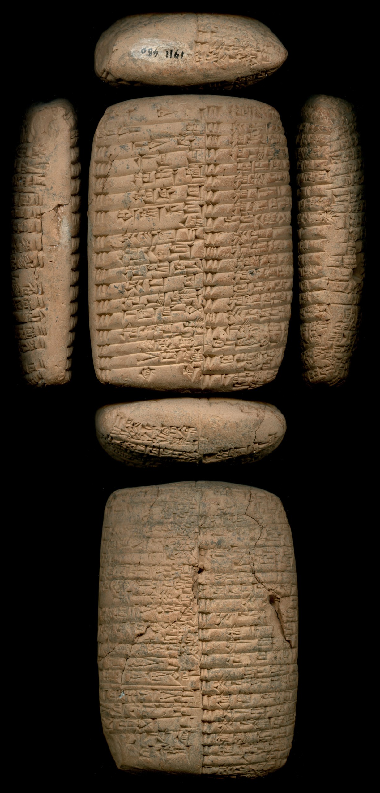 Clay tablet from Umma listing sesame oil for about sixty women of the god Šara, three of them marked as fled