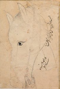 C017 · Head of a Horse, black pen drawing, ascribed to Sultan Ahmad Jalayir by an inscription