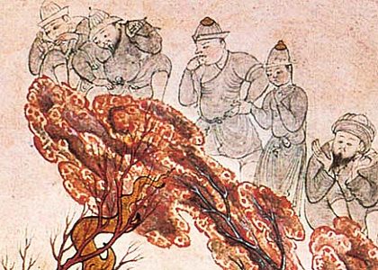 C105 · Dragon in rock