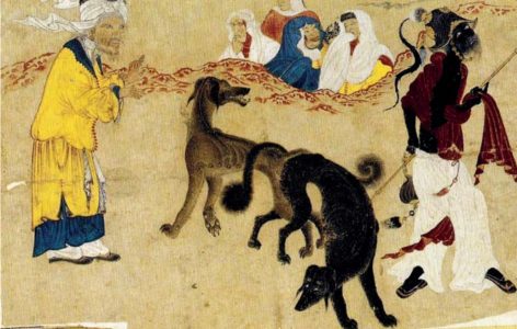 C109 · Dogs